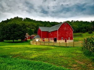 farm-crops