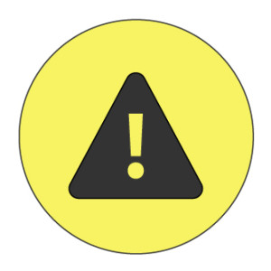 important-icon